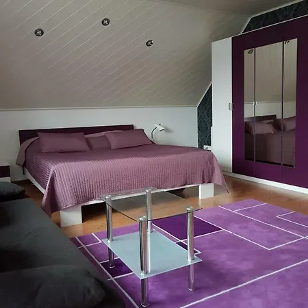 Nettes 2- Apartament Sehnde